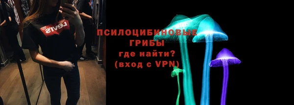 мяу мяу мука Белокуриха
