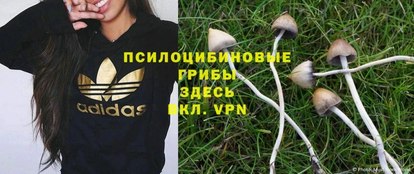 мяу мяу мука Белокуриха