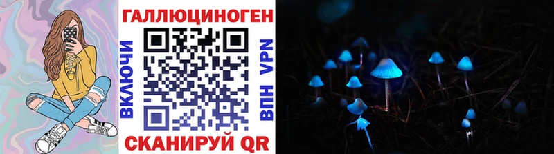 дарнет шоп  Покровск  Псилоцибиновые грибы ЛСД 